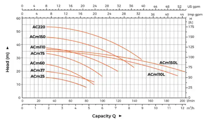 ACM75.webp